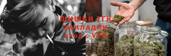 трава Балахна